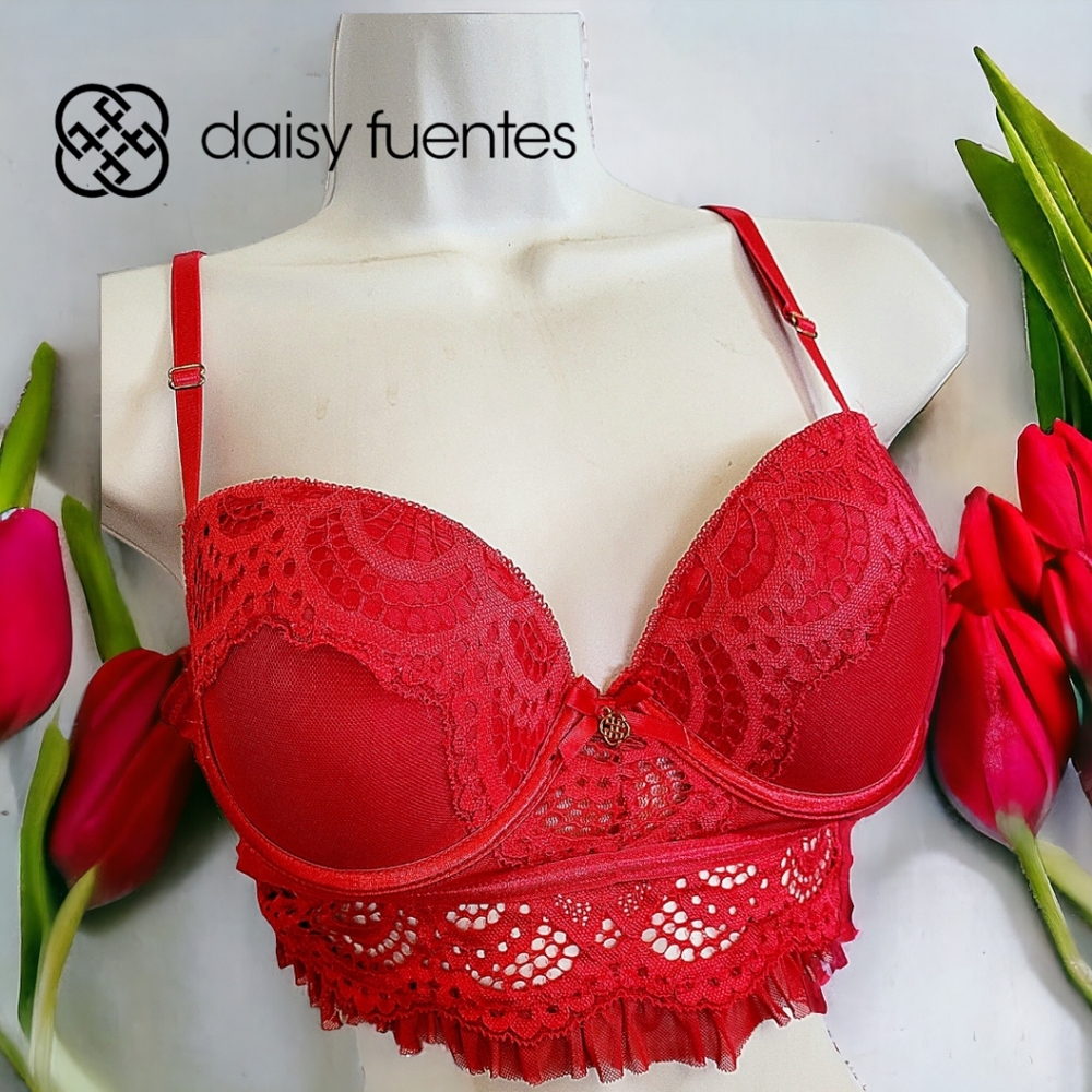 Daisy Fuentes red sexy lingerie size large